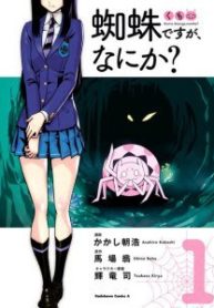 Kumo Desu ga, Nani ka?