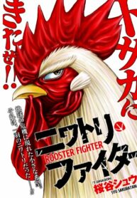 Rooster Fighter